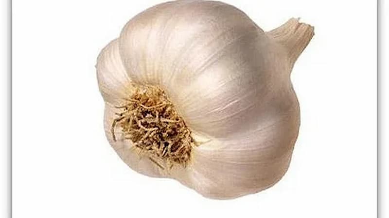 سیر اصفهان بلند قرمز درجه یک طعم تند